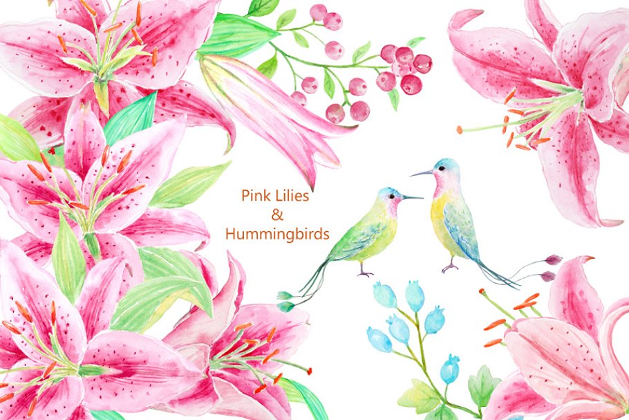 Cover image of Watercolor Pink Lily & Humming Birds.