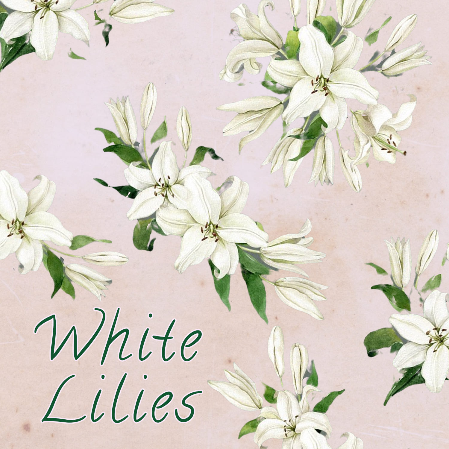 Graceful white lilies are 100% original hand painted watercolor elements, scanned and carefully turned into PNG digital files.