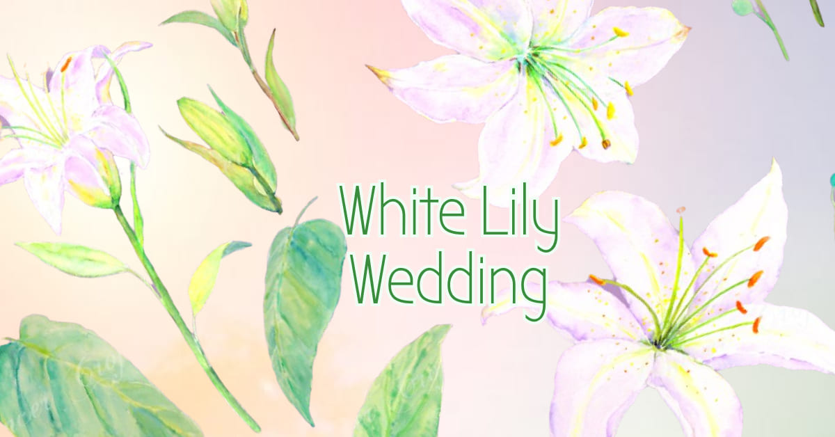 This is a good example of lily collection for your Facebook page.