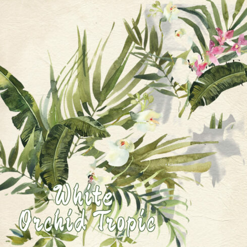 White Orchid - watercolor tropical clipart and shadows collection.
