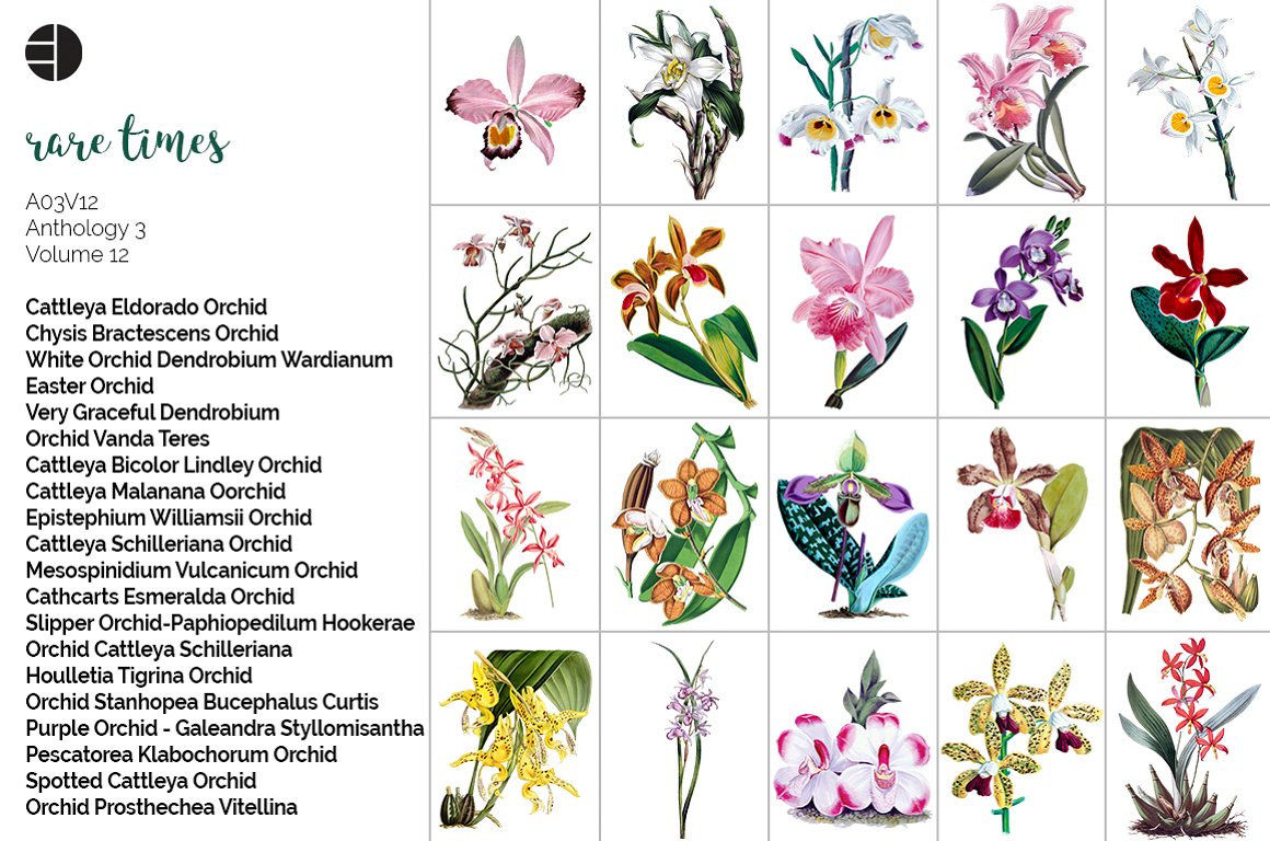 The list of rare orchid flowers.