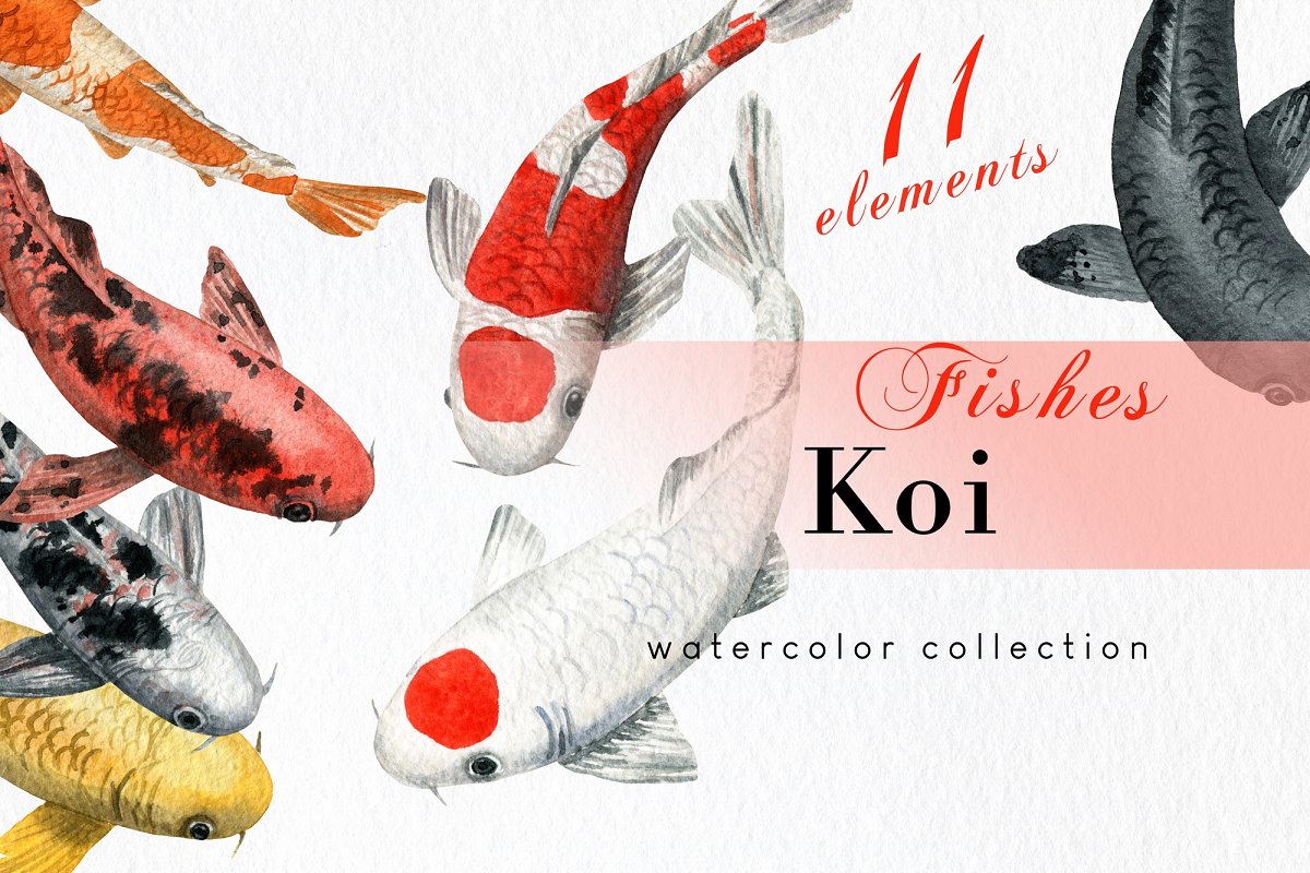 Cover image of Watercolor Koi Fish Clipart Set.