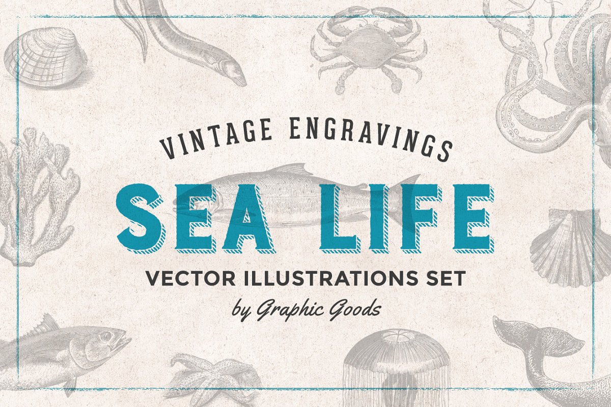 Cover image of Fishes & Sea Life Engravings Set.