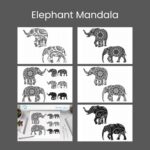 Elephant Mandala SVG files for Silhouette Cameo and Cricut.
