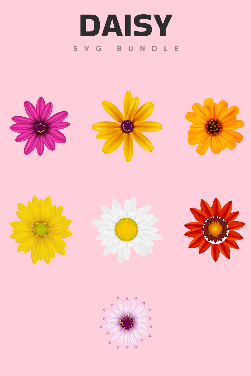Cute daisies in the different colors.