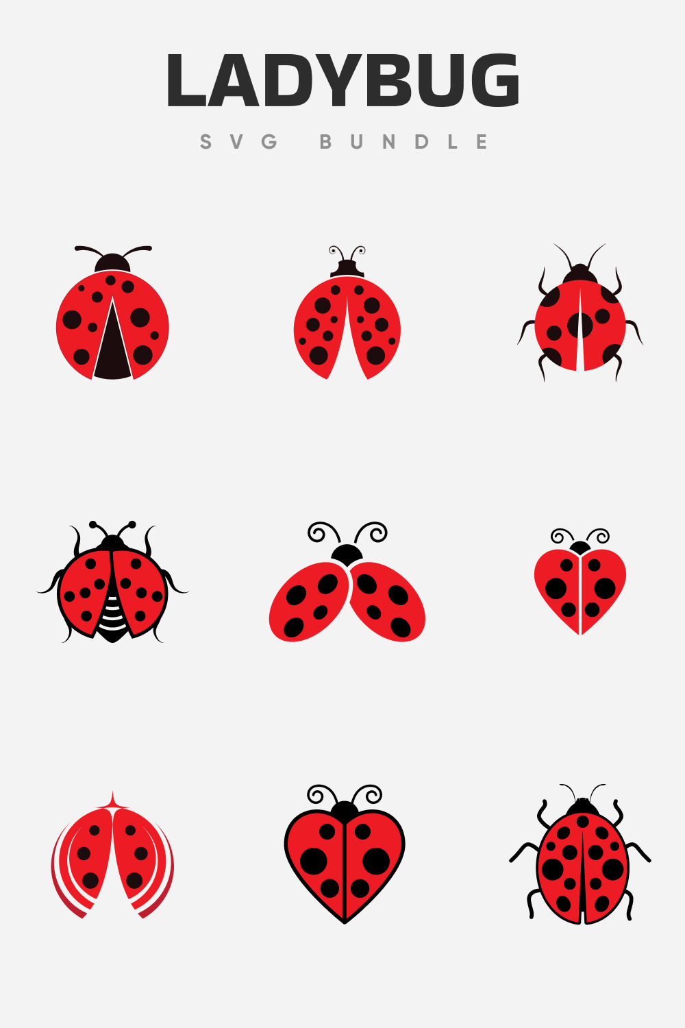 Diverse of ladybugs.