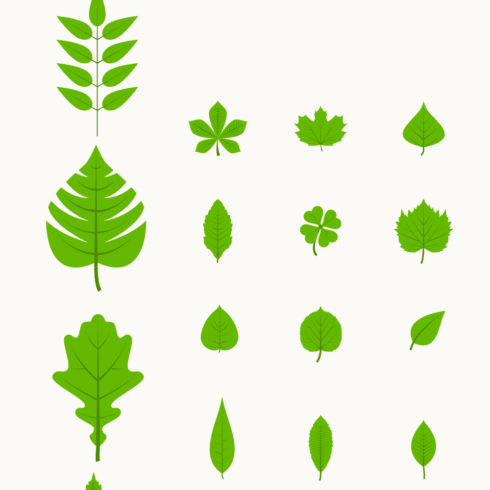 Leaf SVG Designs | Master Bundles