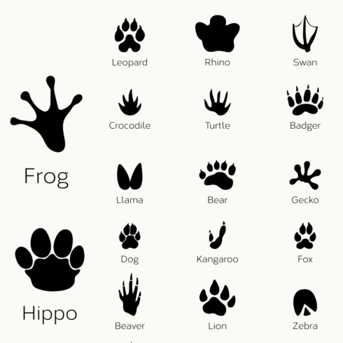 20 Paw SVG Designs | Master Bundles