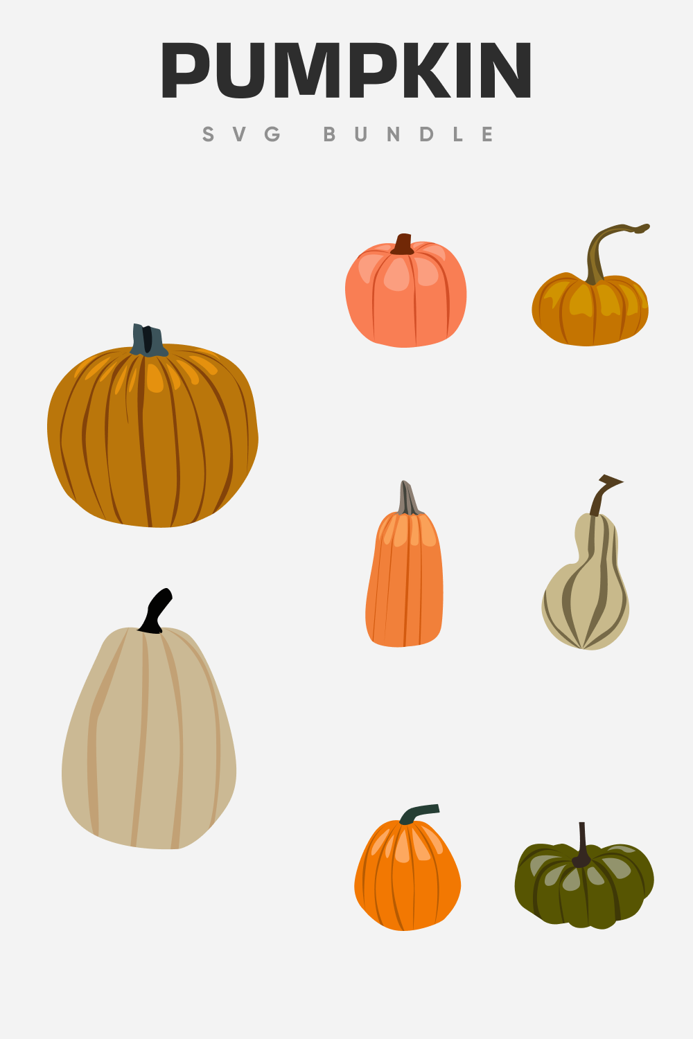 Diverse of the colorful pumpkins.