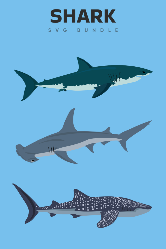 3 Shark SVG Files – MasterBundles