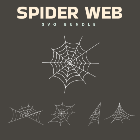 spider web svg.