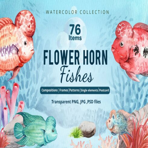 Flower horn Fishes Watercolor cover.