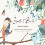 Insects & Birds Watercolor Set cover.