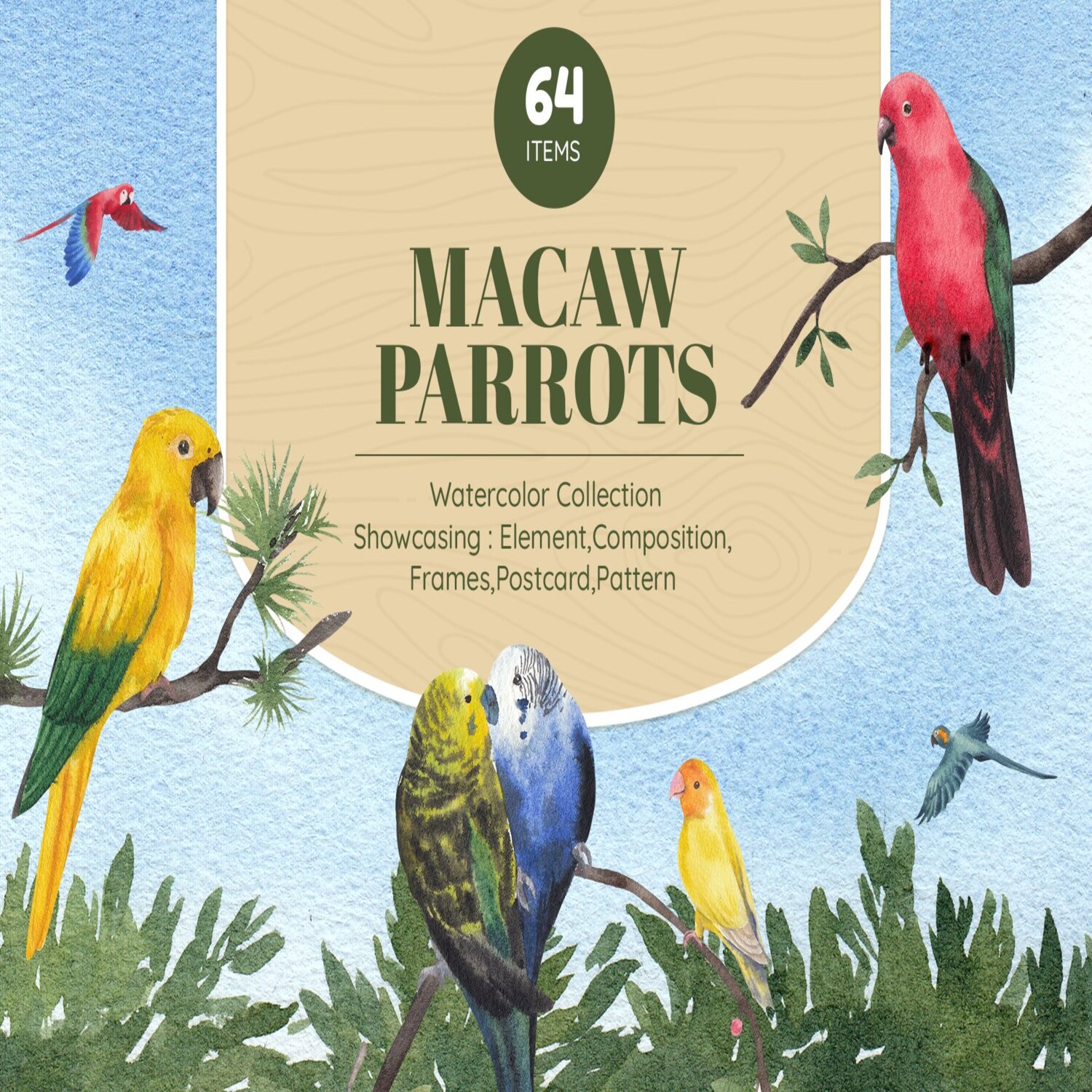 Macaw Parrots Watercolor cover.