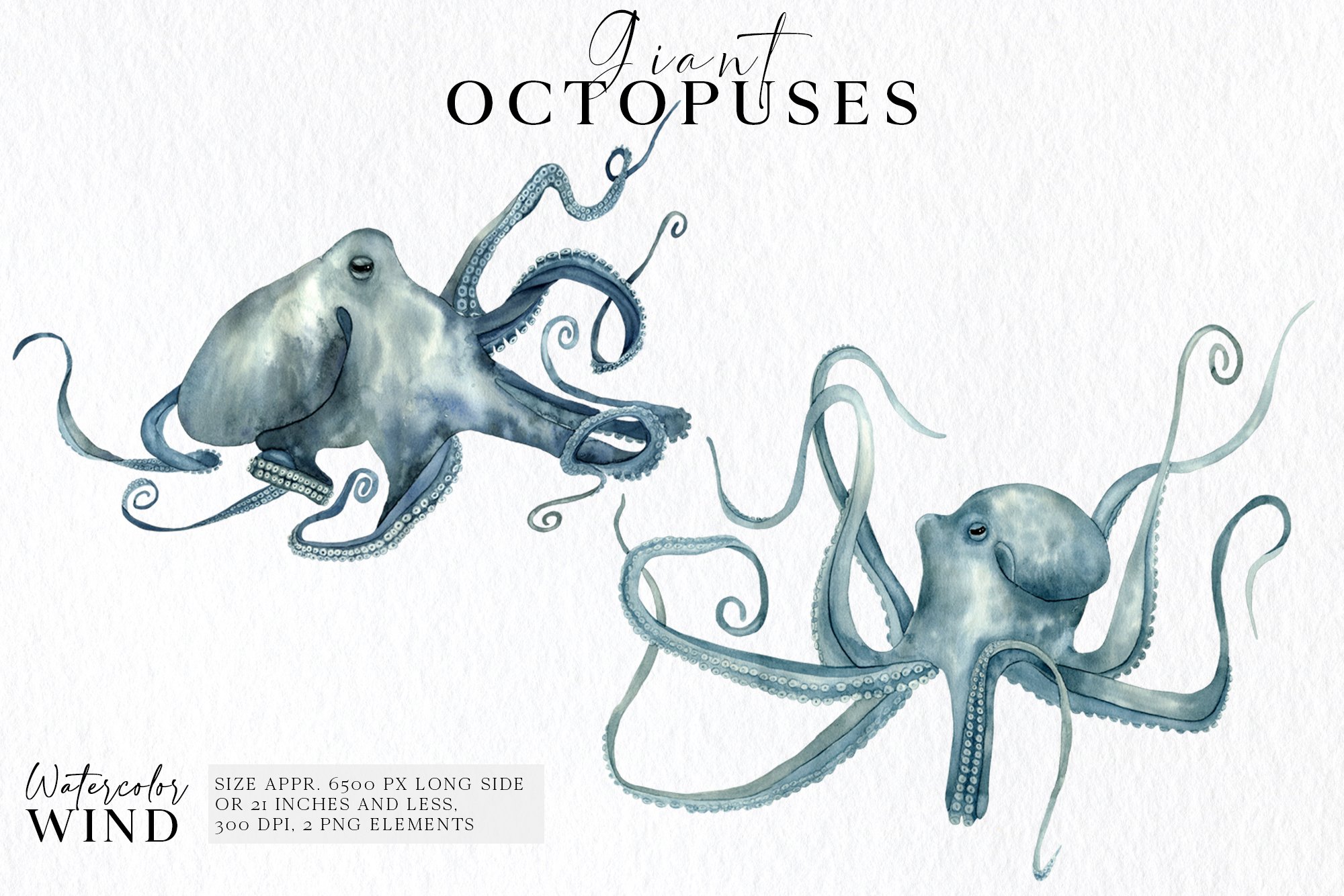 So cool two octopuses.