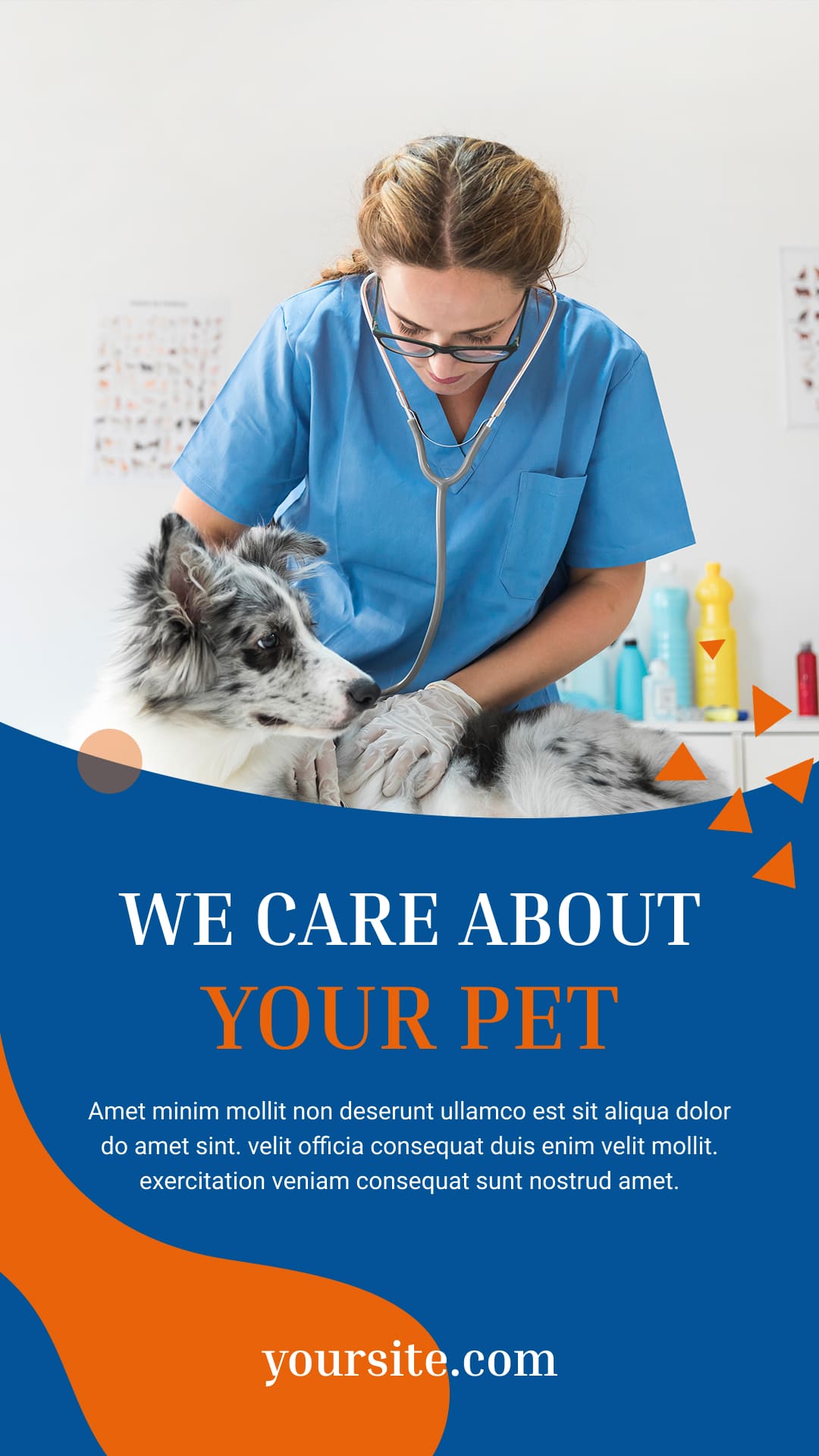 Cool vivid template for dog care.