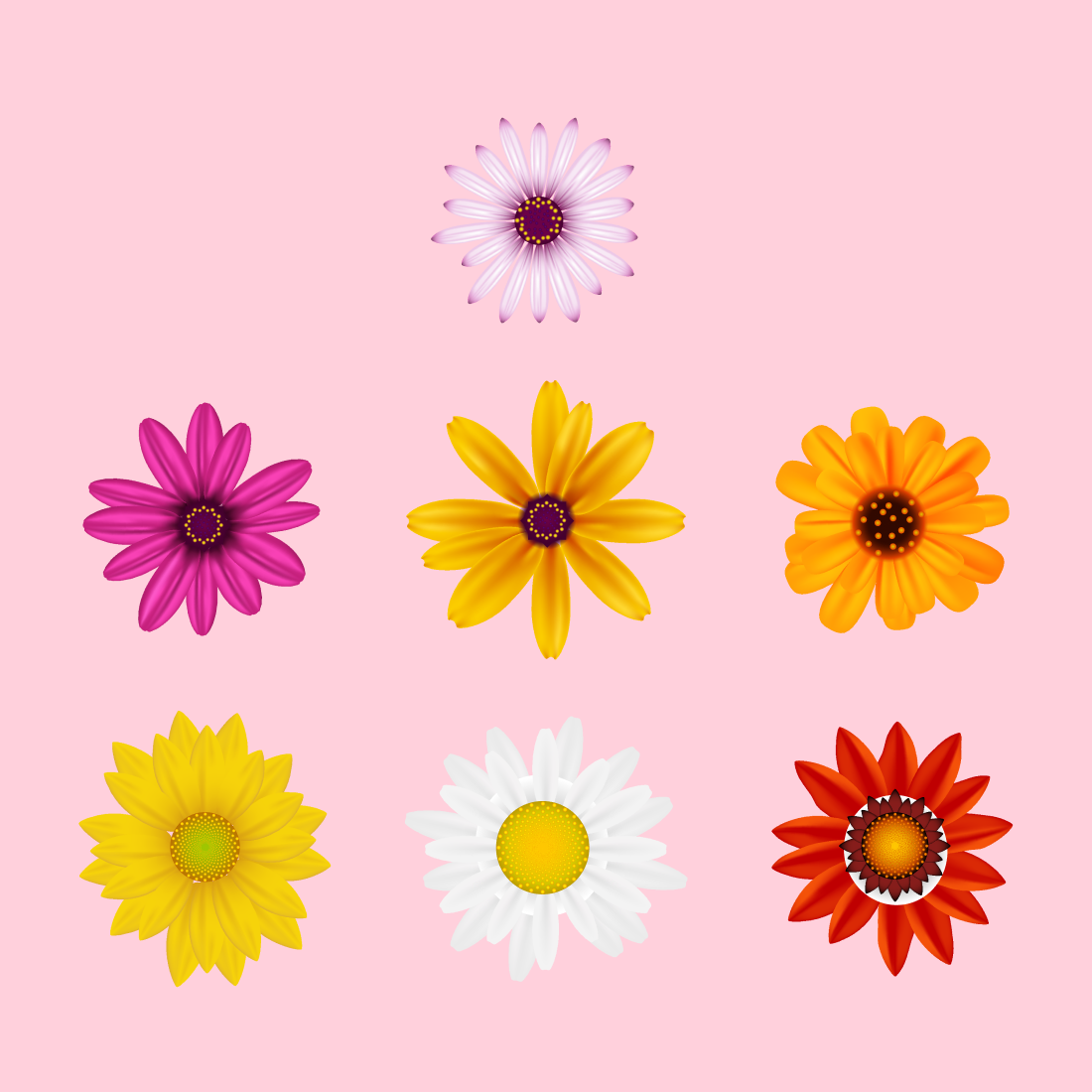 daisy svg cover.