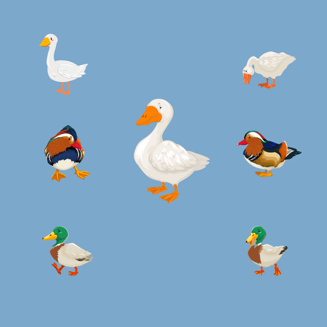 duck svg cover.