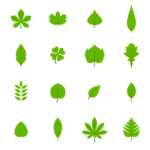 Leaf SVG Designs – MasterBundles