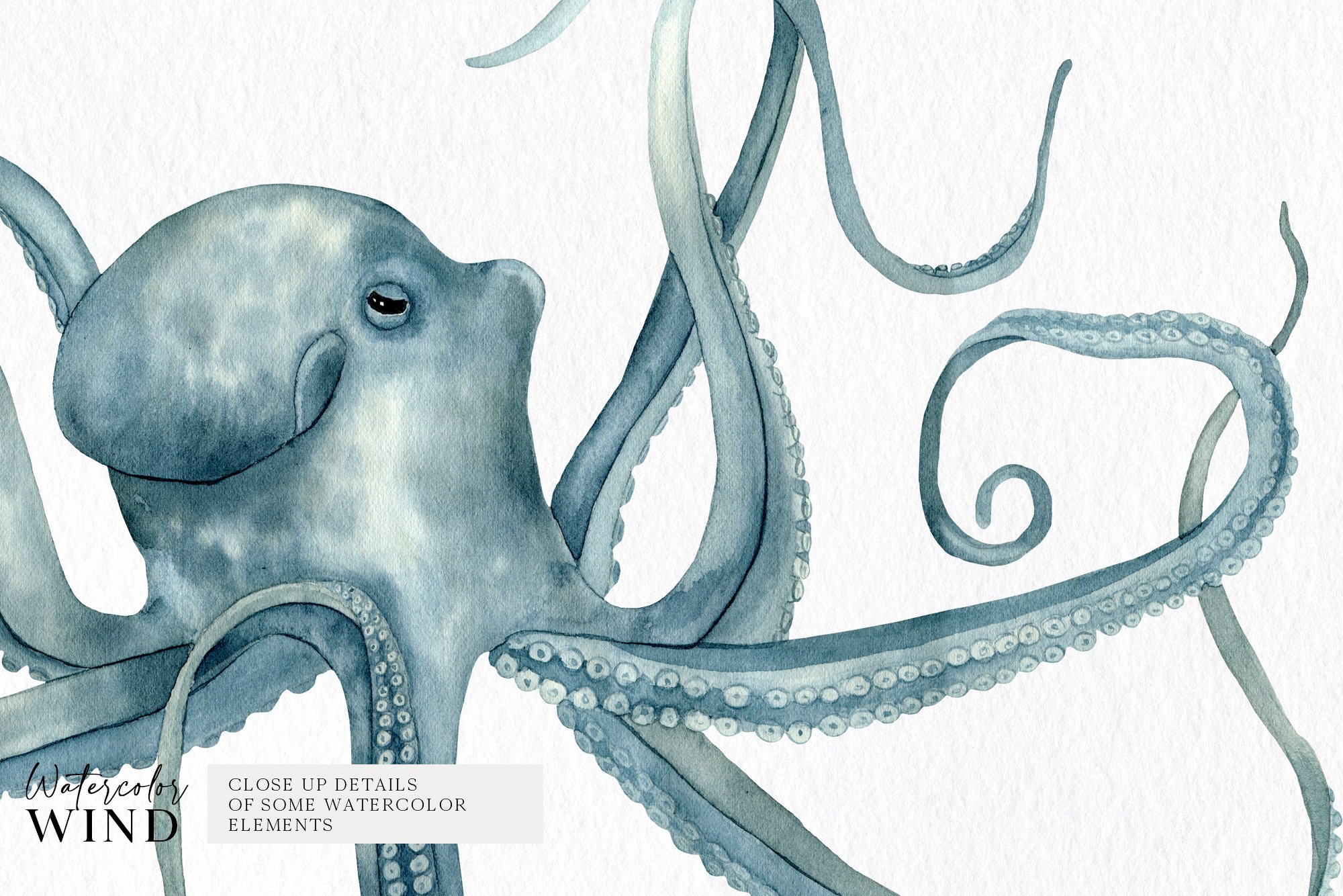 Happy blue octopus.