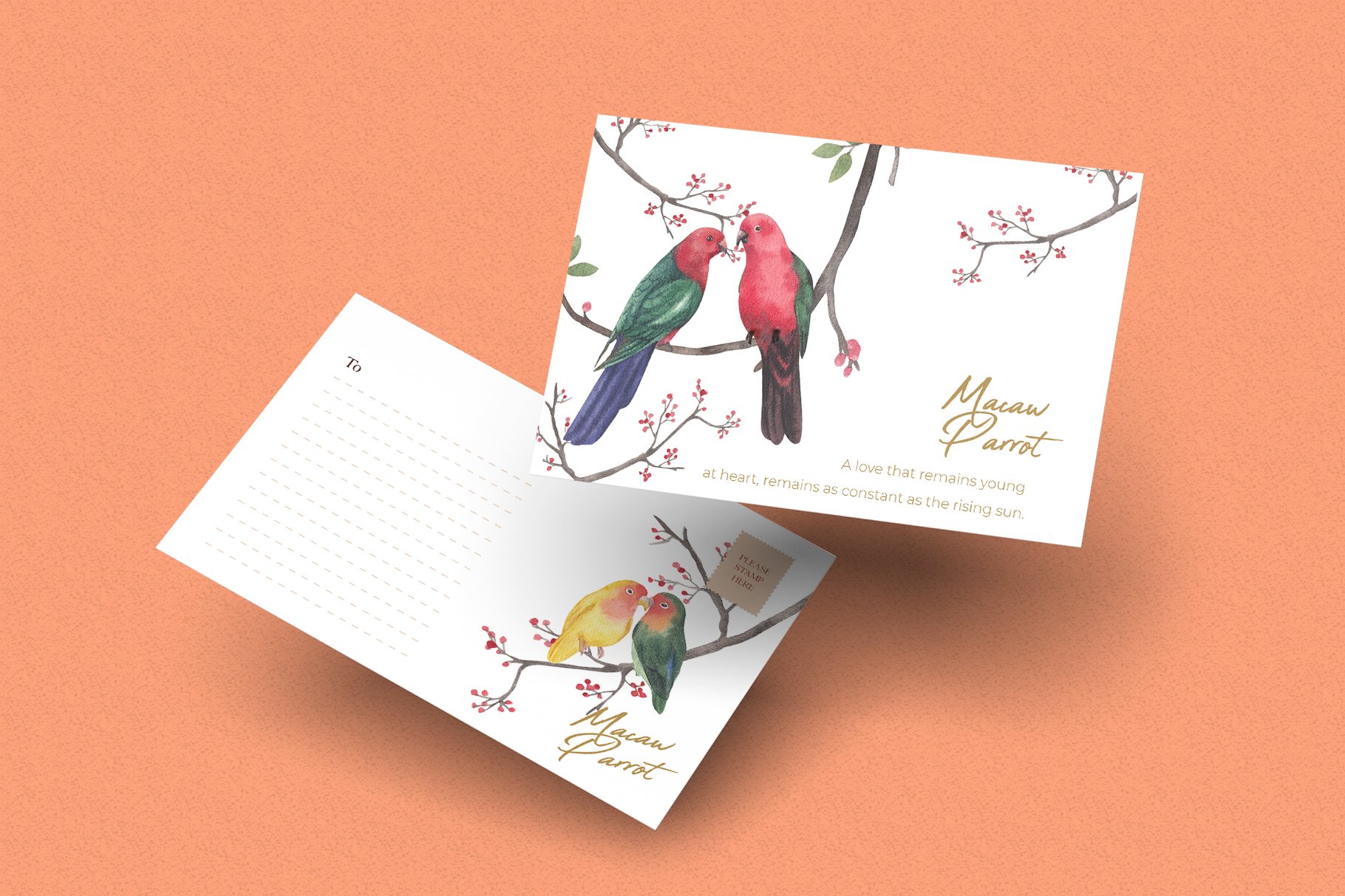 Romantic letters with the macaw parrot illustration.