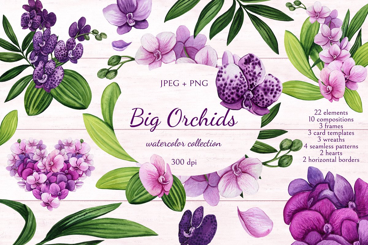 Cover image of Orchid Clipart.