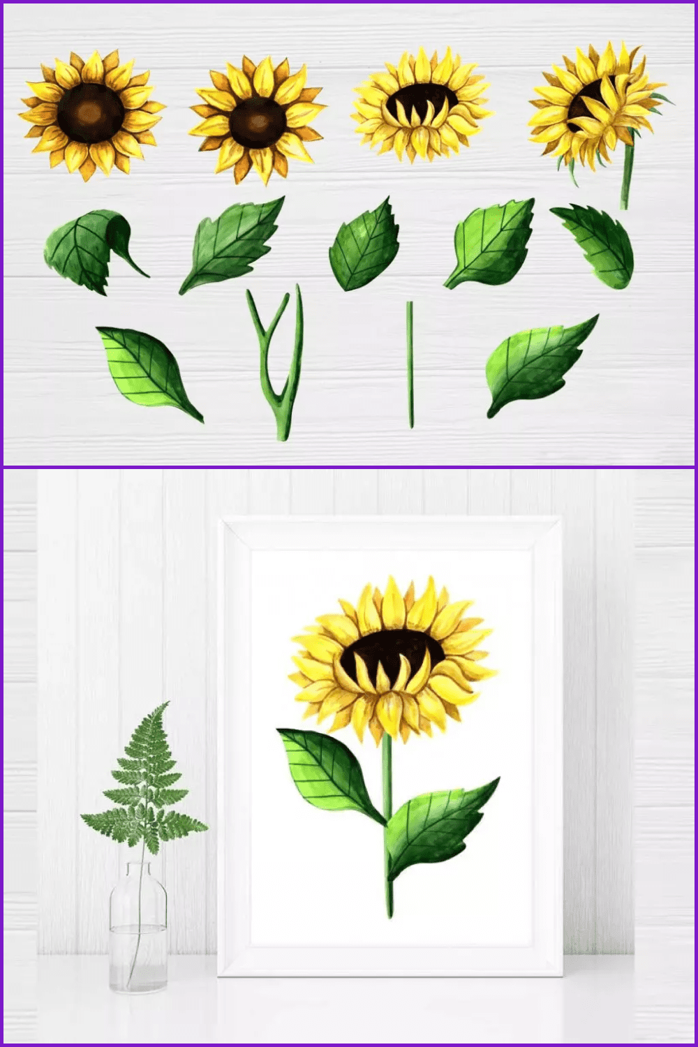 Realistic sunflowers and parts of it.