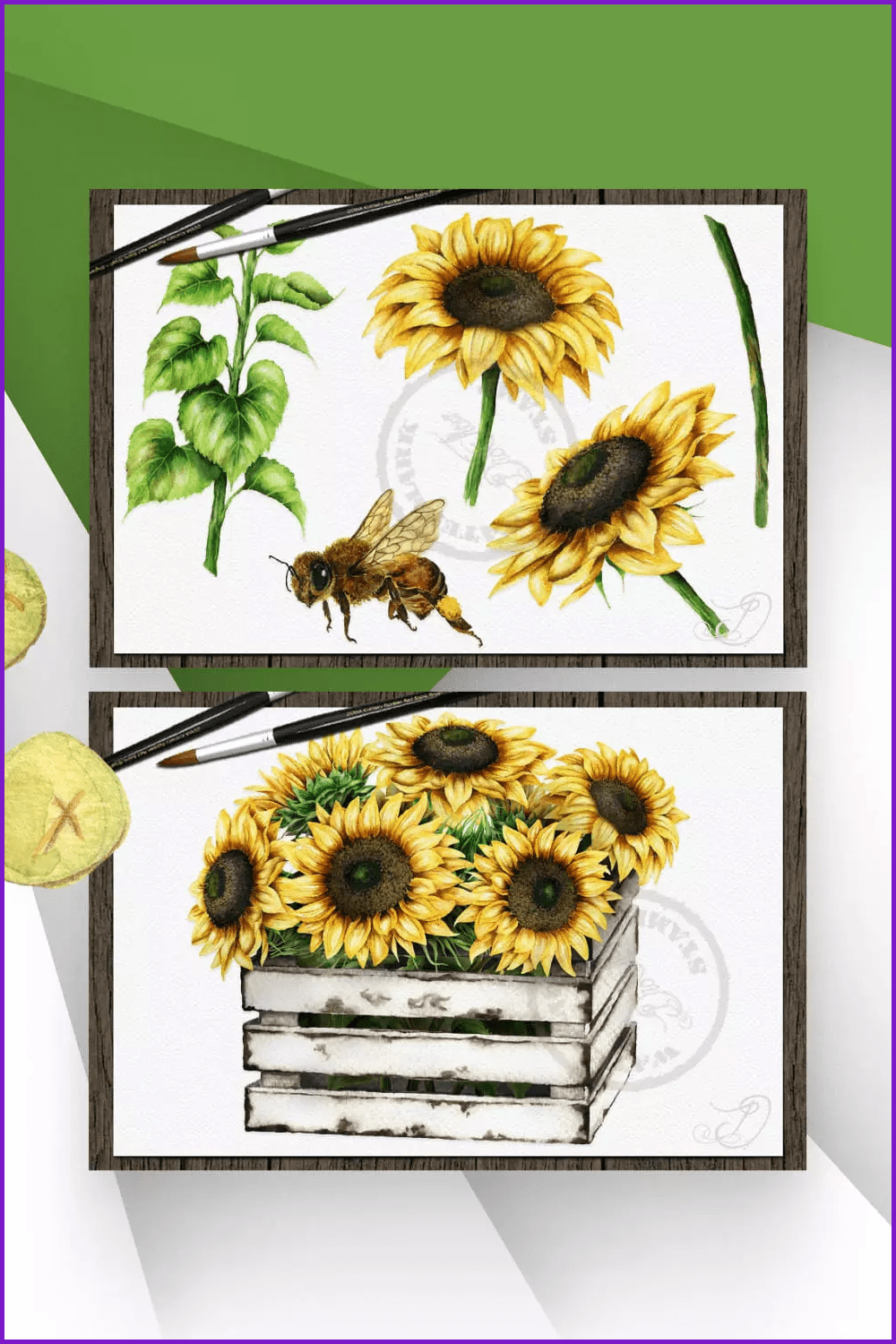 Collage with sunflowers in the box and bees.
