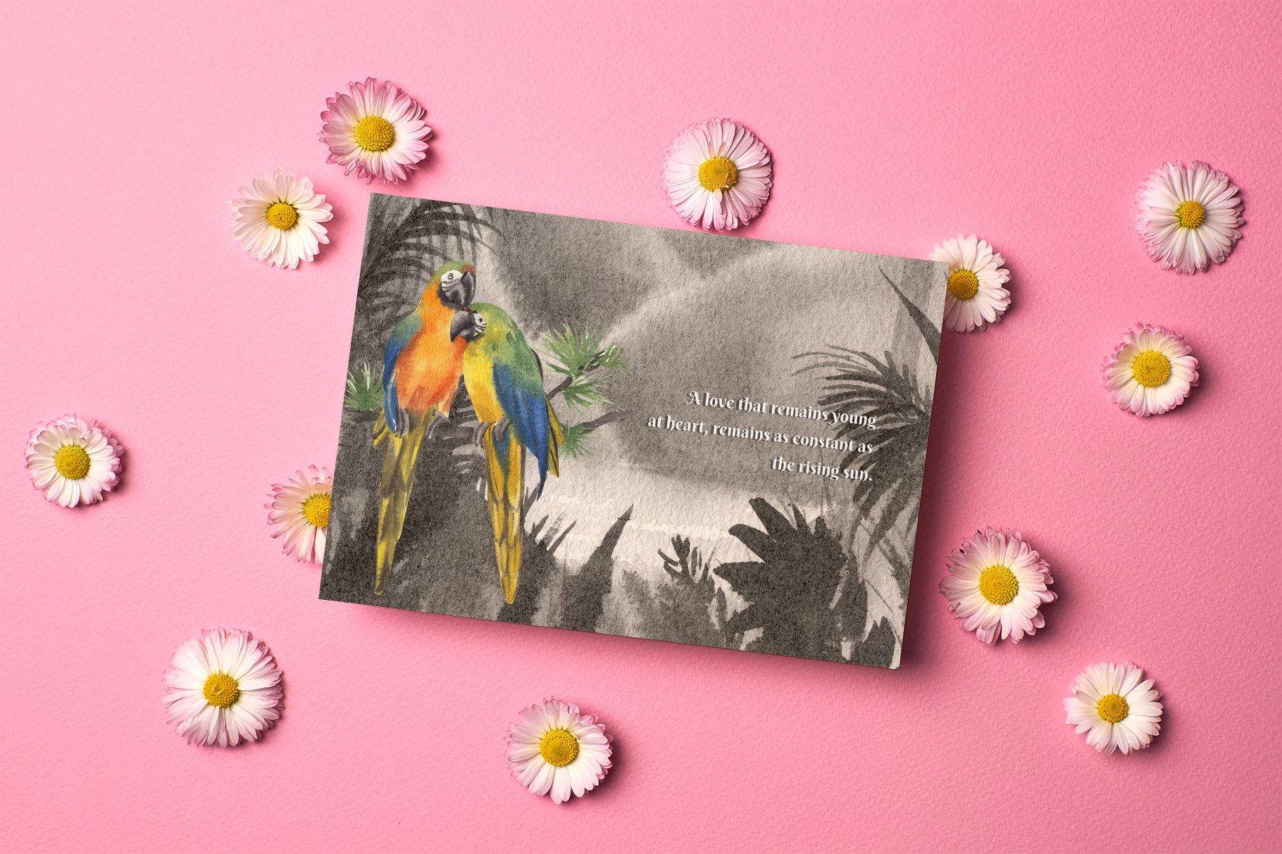 Creative love card with the macaw parrot presentation.