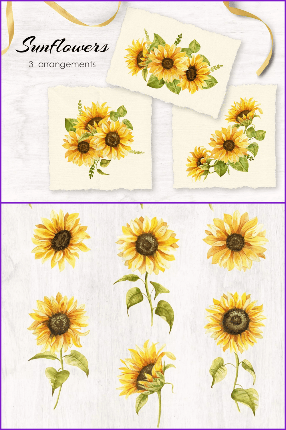 Few different sunflowers in combinations.