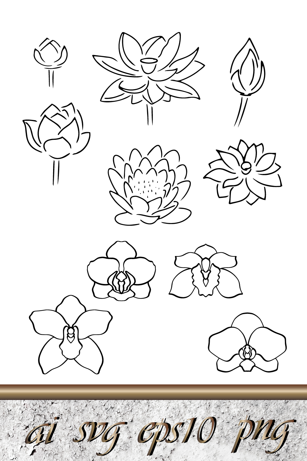 Lotus, Orchid flower Sketch Clipart Doodle Flower Set pinterest image.