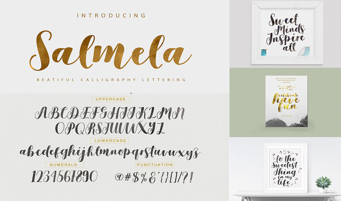 Bold italic font in different colors and for various projects.