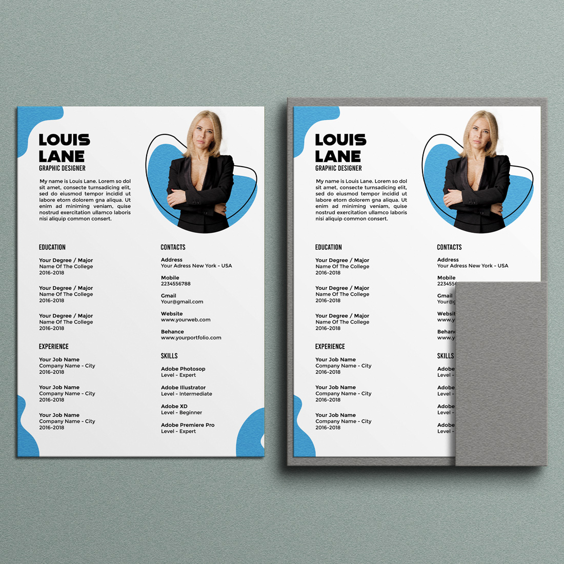 Set of two professional resumes with a blue background.