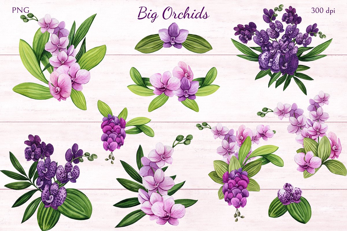  Included are high-res watercolor orchids, buds, petals, leaves, floral hearts.