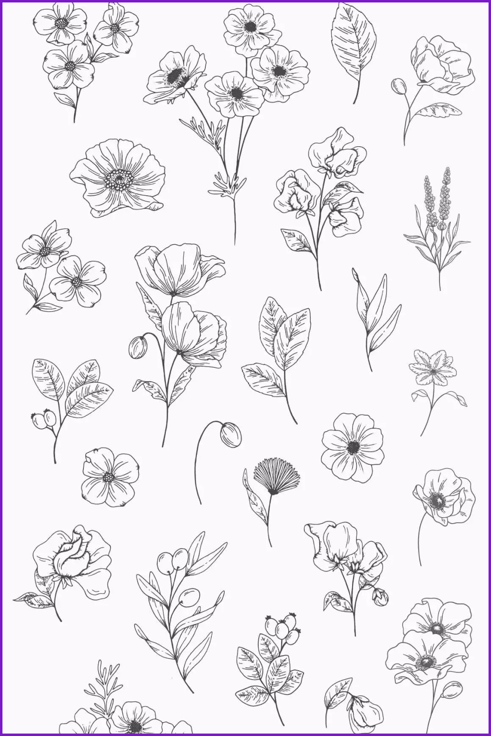 Minimalistic and simple black and white drawings of poppies.