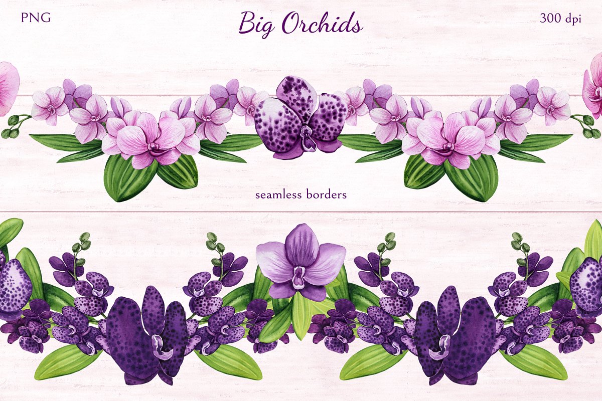 Big orchids with seamless borders.