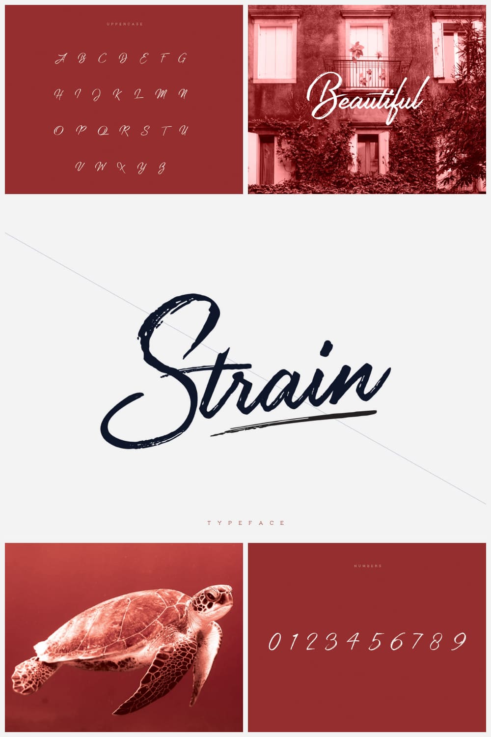 Frank calligraphic typeface on a red and grey backgrounds.
