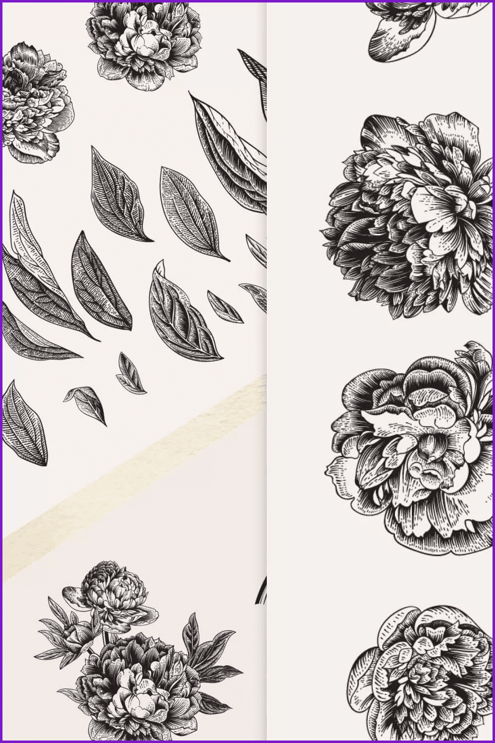 Black and white drawing of peonies in vintage style.