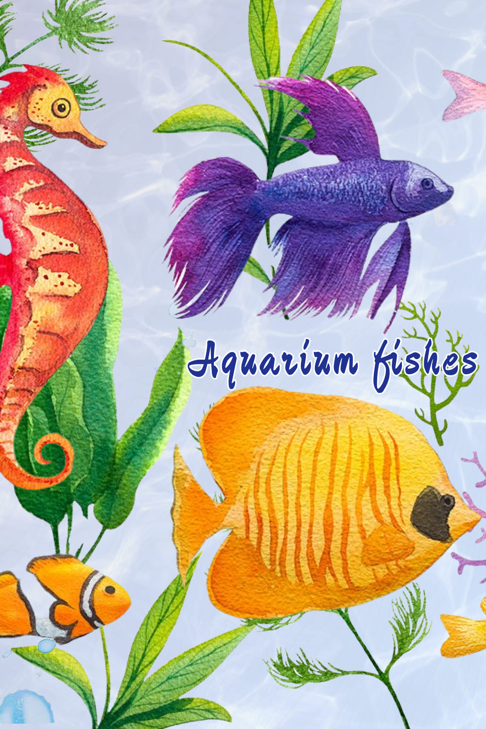 aquarium fishes 04