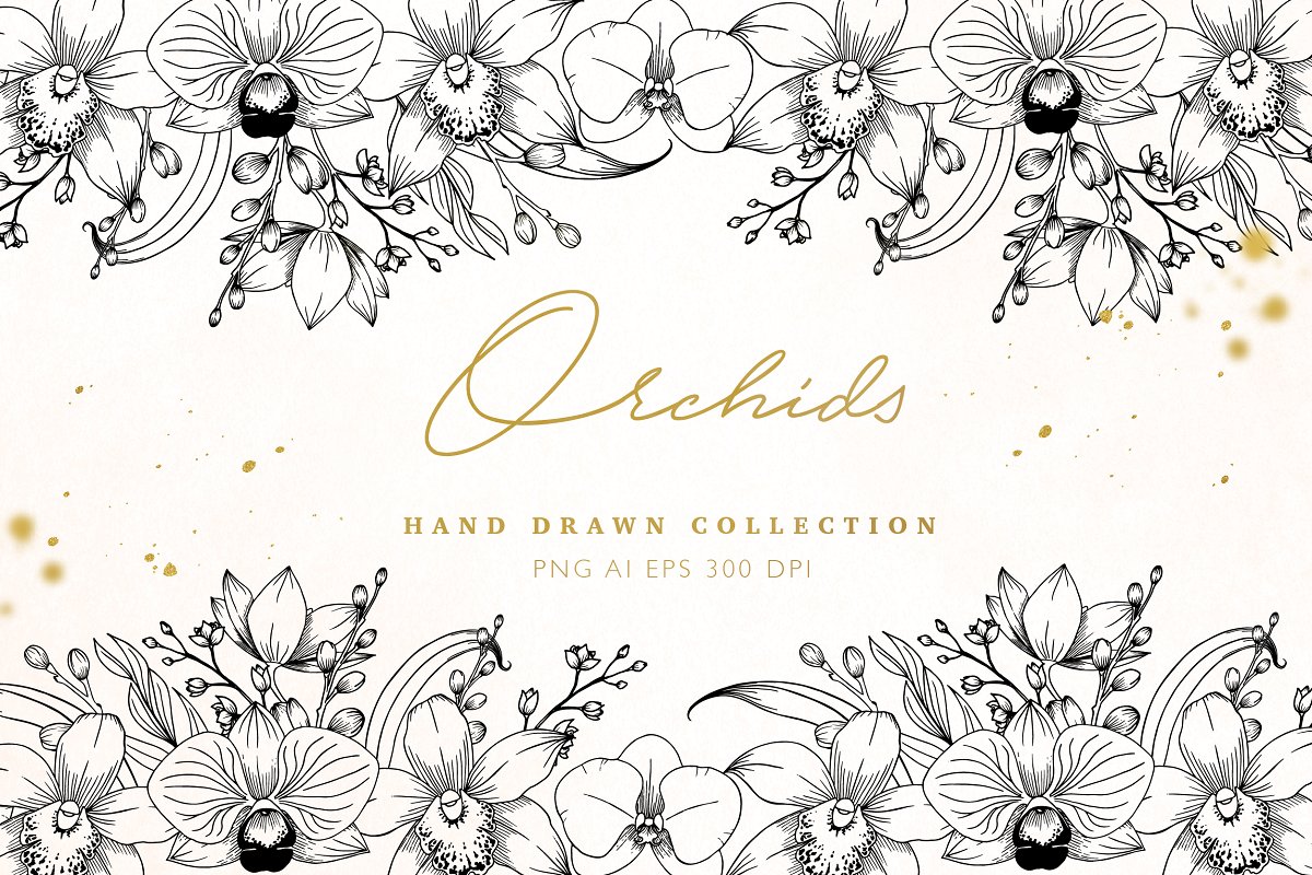 Cover image of Orchids Hand Drawn Collection.