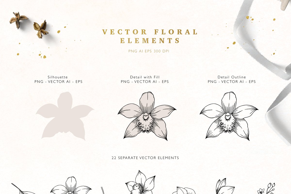 Diverse of vector floral elements.