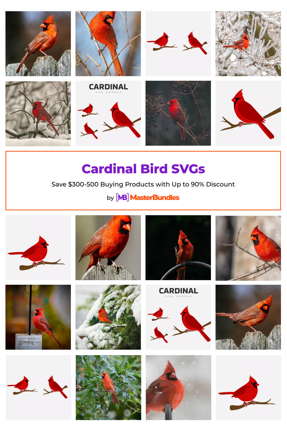 cardinal bird svgs pinterest image.