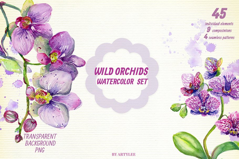 Cover image of Wild Orchids Watercolor Set.