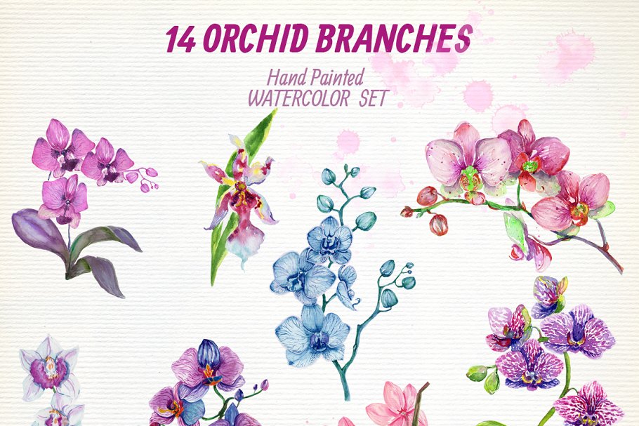 The set contains large branches of orchids and individual flowers.