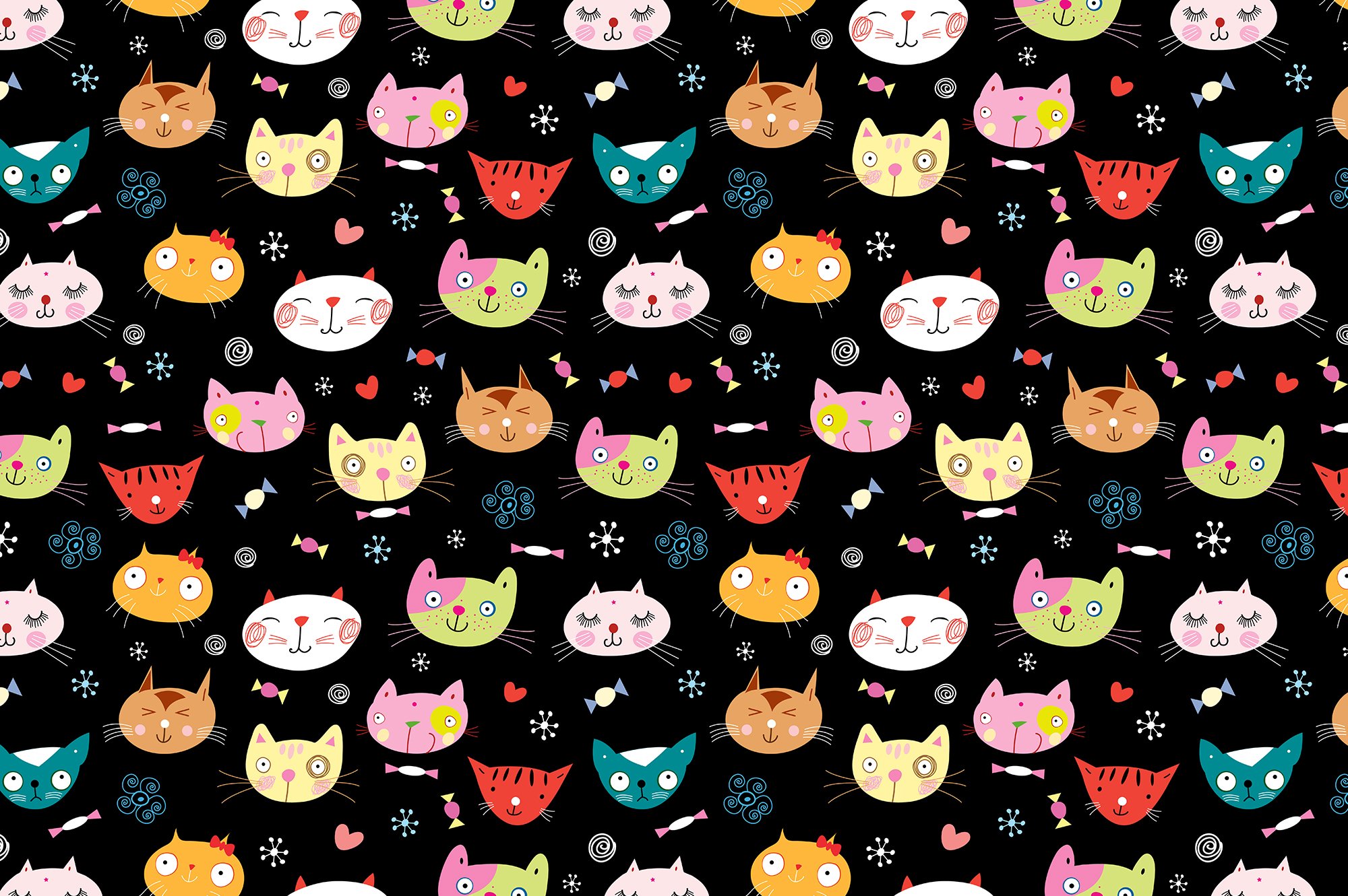 Black background with bright cats.
