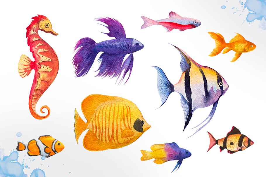 This is a delicate fine art collection of watercolor aquarium fishes.