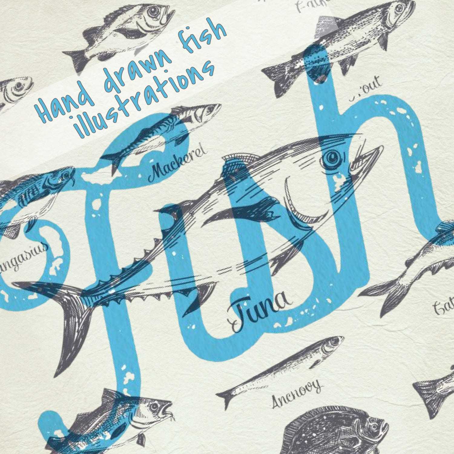 13 vector hand drawn fish illustrations.