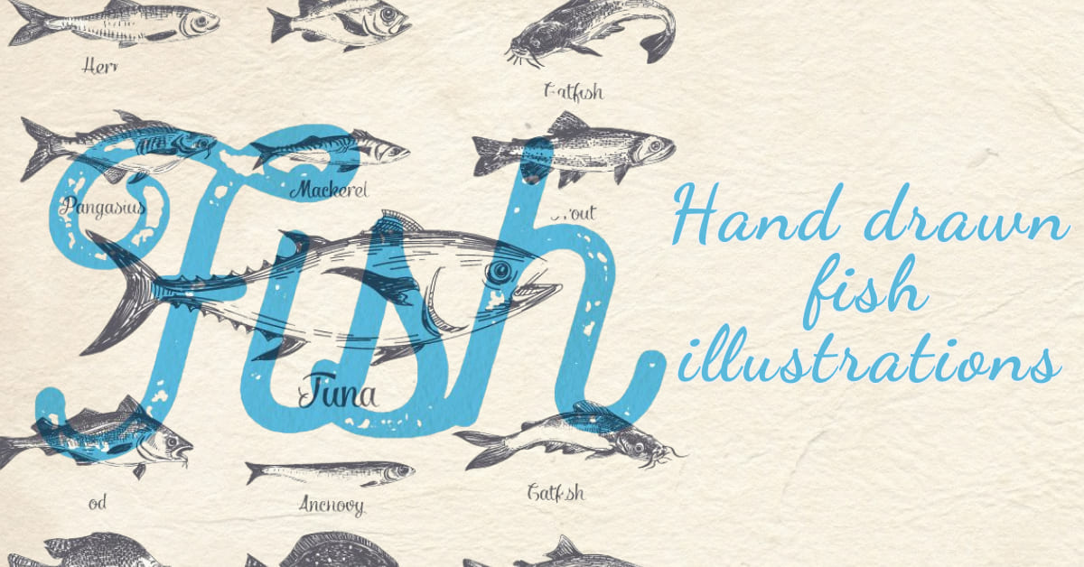 Hand Drawn Fish Illustrations – MasterBundles
