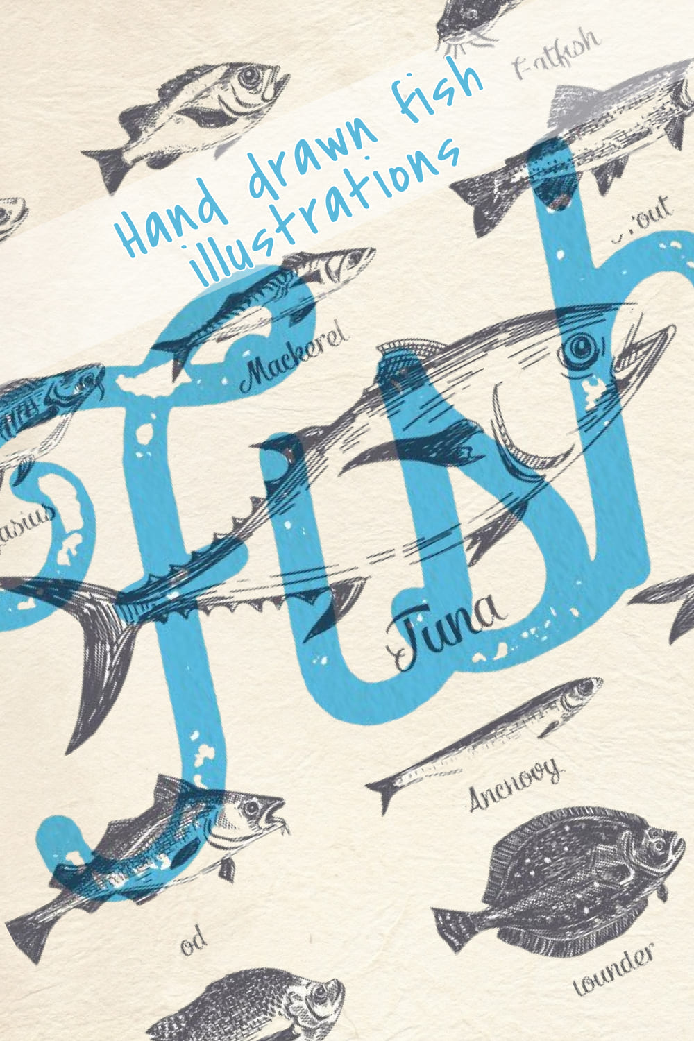 Hand Drawn Fish Illustrations - preview image.