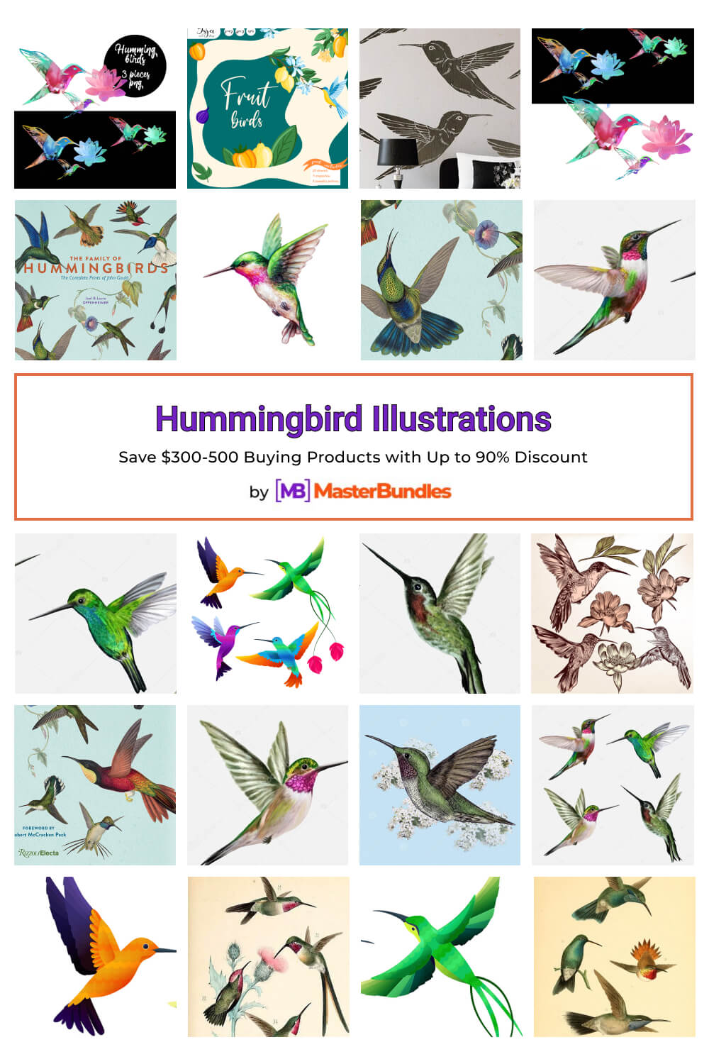 hummingbird illustrations pinterest image.